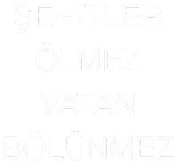 15 Temmuz Millet Sticker by Miyase