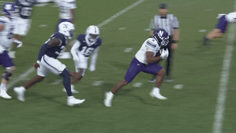 The Beast Touchdown GIF by Northwestern Athletics