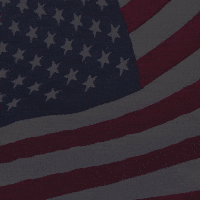Common Sense Usa GIF by Independent National Convention 2024