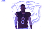 Cairo Santos Football GIF by Chicago Bears