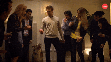 Dog Ball Catch
