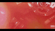 GIF by Nu Skin