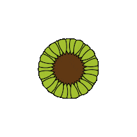 Good Vibes Summer Sticker by Draw! Pilgrim