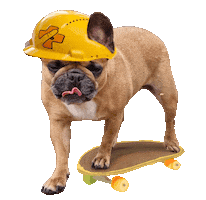 Skatecare dog cool yeah animal Sticker
