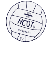 Volleyball Olympic Sticker