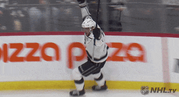 Celebrate Ice Hockey GIF by NHL