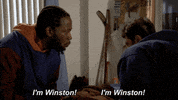 fox broadcasting GIF by New Girl