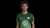 France No GIF by VfL Wolfsburg