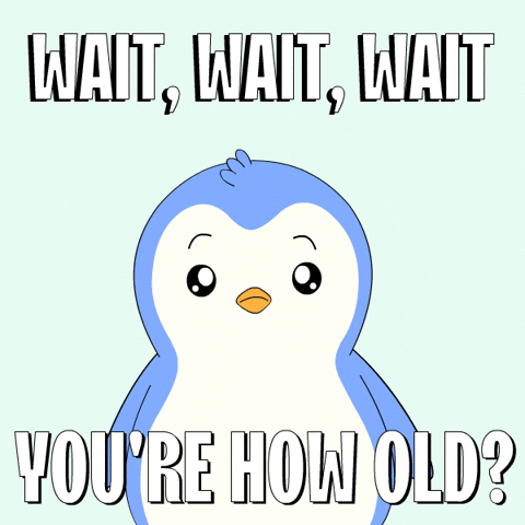 GIF by Pudgy Penguins