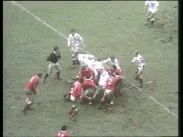 six nations GIF