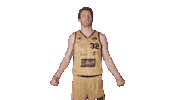 Basketball Biceps Sticker by Trefl Sopot