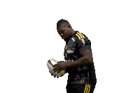 Celebration Rugby Sticker by Stade Rochelais