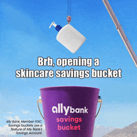 Budget Treat Yoself GIF by Ally