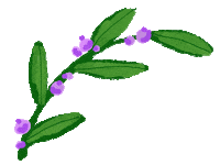 Flower Plant Sticker