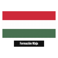 Hungary Flag Sticker by Formación Ninja