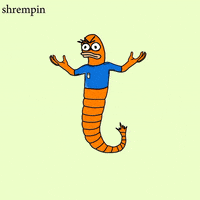 Confused Adult Swim GIF by shremps