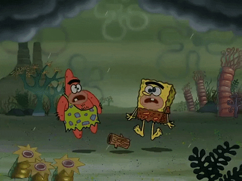 season 3 spongebob b.c. GIF by SpongeBob SquarePants