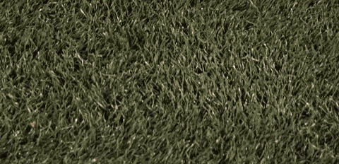 Womens Lacrosse GIF by Lafayette Leopards