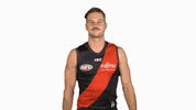 essendonfc patrick dons bombers essendon GIF