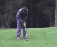 Ryder Cup Golf GIF