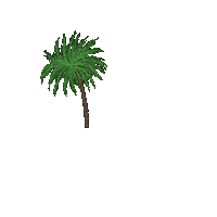 Stylus0npapyrus tree waving windy palmtree Sticker