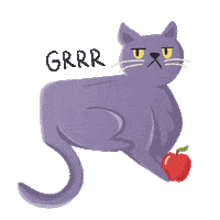 Grumpy Cat Cats Sticker by Story Pirates