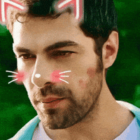 Cat Tatlı GIF