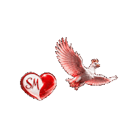 systemmilosci polska sm serce miłość Sticker