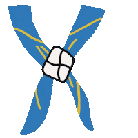 Animated Sticker