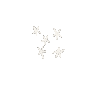 papertoothtiger celebrate stars sparkle twinkle Sticker
