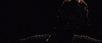 asaprocky asap rocky fukk sleep GIF