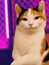 Chewy GIF