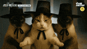 틴더스 GIF