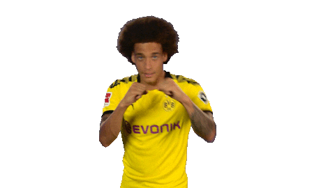 Axel Witsel Football Sticker by Bundesliga