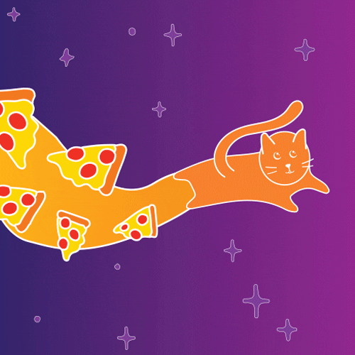keeppizzaweird giphyupload cat pizza pizzacat GIF