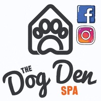 thedogdentakapuna GIF