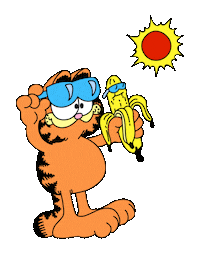 Fun Summer Sticker by doña batata