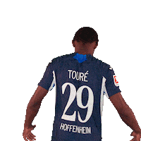 Sport Bundesliga Sticker by TSG Hoffenheim
