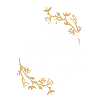Sugar Free Transparency Sticker by The Social Impact