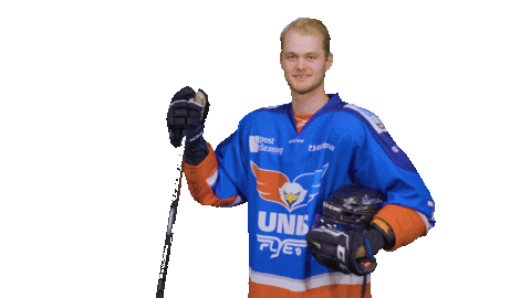 Goal Eagles Sticker by UNIS Flyers