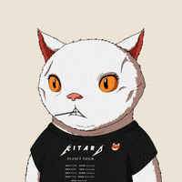 Cat Love GIF by Kitaro World