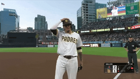 San Diego Padres Sport GIF by MLB