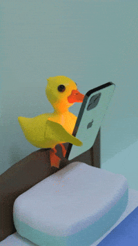 PackyDuck happy animal yellow duck GIF