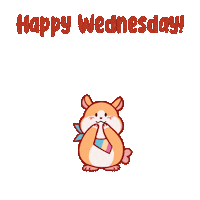 Wednesday Morning Love Sticker by SoyandMochi