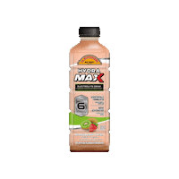 Strawberry Kiwi Sticker by La Michoacana Meat Market