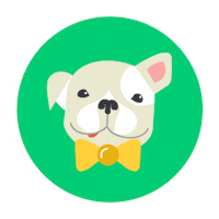 bow tie dog Sticker by Rover.com