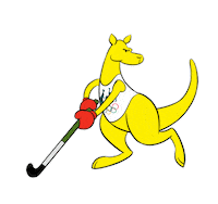 Summer Olympics Hockey Sticker by AUSOlympicTeam
