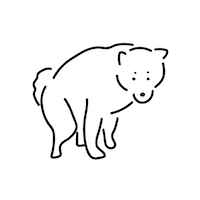 柴犬 Shibadog Sticker