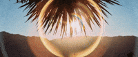 Time Lapse Desert GIF by Pearl Lion