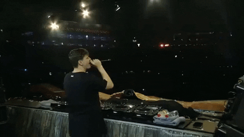 2018 GIF by Martin Garrix